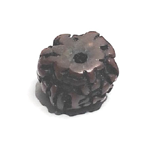 Rudraksha alte tibetische Ölperle, handpoliert - Nepal 15-17 mm