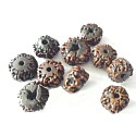 Rudraksha alte tibetische Ölperle, handpoliert - Nepal 15-17 mm