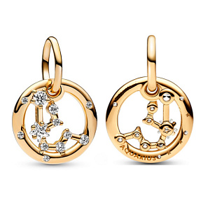 Charms Sterling Silber 925 vergoldet Sternzeichen Wassermann, Anhänger Armband