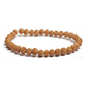 Rudraksha elastisches Armband aus natürlichen Samen, Kugel 6 mm / 16 - 17 cm
