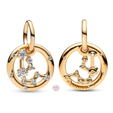 Charms Sterling Silber 925 vergoldet Sternzeichen Wassermann, Anhänger Armband