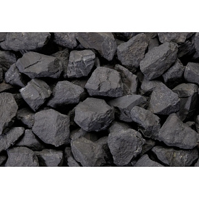 Shungite roher magischer Stein des Lebens 30 - 40g, L - XL 1 Stück