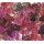 Spinel