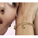 Charme Sterling Silber 925 Gold Zahn - Mini Medaillon, Anhänger Armband Interessen