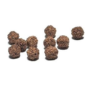 Rudraksha Naturperle 8 mm, 10 Stück