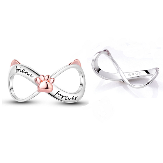Sterling Silber 925 Infinity mit Pfote für immer, Haustier-Armband-Anhänger