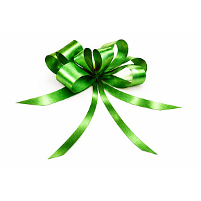 Cockade Band Kordelzug dekorativ grün 50 cm