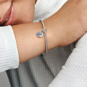 Charm Sterling Silber 925 Sparkling Schwalbe und Zitat, 2in1 Tierarmband Anhänger