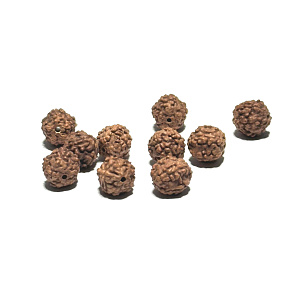Rudraksha natürliche Perle 7 mm, 10 Stück