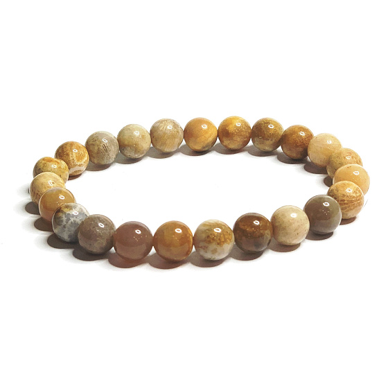 Koralle Fossil Chrysantheme Armband elastisch Naturstein, Kugel 8 mm / 16 - 17 cm