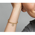 Charm Sterling Silber 925 Gold plattiert Sternzeichen Löwe, Anhänger für Armband