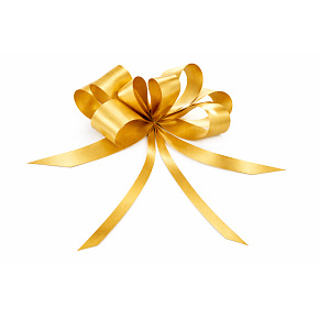 Cockade Band Kordelzug dekorativ Gold 50 cm