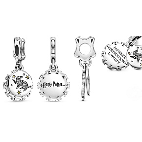 Sterling Silber 925 Harry Potter - Frosty + Zirkonia, 2in1-Anhänger für Armband