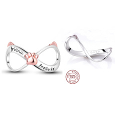 Sterling Silber 925 Infinity mit Pfote für immer, Haustier-Armband-Anhänger Sterling Silber 925 Infinity mit Pfote für immer, Haustier-Armband-Anhänger