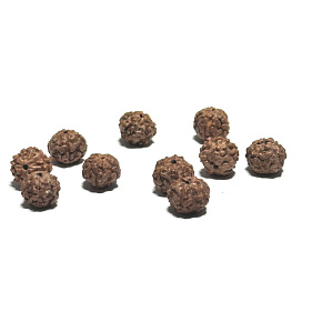Rudraksha natürliche Perle 9 mm, 10 Stück