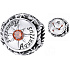 Charme Sterling Silber 925 Sternzeichen, Zirkonia Wassermann, Perle für Armband