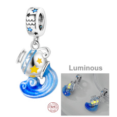 Sterling Silber 925 Luminous - Sternzeichen Wassermann, Armband-Anhänger
