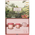 Payot Roselift Collagen Jour Tages-Liftingcreme 50 ml + Roselift Collagen Regard Augen-Liftingpflege 15 ml + Gua Sha Rosenquarz, Kosmetikset für Frauen