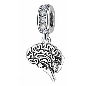Charms Sterling Silber 925 Anatomische Biologie - Gehirn, Armbandanhänger, Symbol Charms Sterling Silber 925 Anatomische Biologie - Gehirn, Armbandanhänger, Symbol