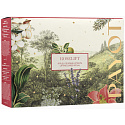 Payot Roselift Collagen Jour Tages-Liftingcreme 50 ml + Roselift Collagen Regard Augen-Liftingpflege 15 ml + Gua Sha Rosenquarz, Kosmetikset für Frauen